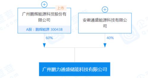 鵬輝能源參股設立儲能公司，加碼信息系統集成服務布局