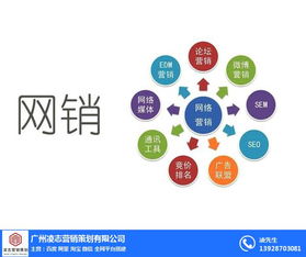 海珠區企業畫冊設計專家——凌志營銷策劃，信息系統集成服務優質商家